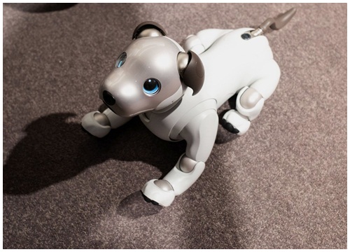 Sony Mỹ nhận đặt hàng chó robot Aibo, giá 2900$, giữa tháng 12 giao