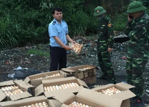 Thu giữ hàng thực phẩm nhập lậu hơn nửa tỷ đồng