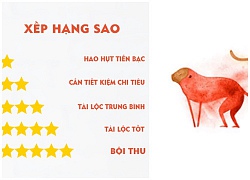 Tử vi hôm nay (19/9) về tài chính 12 con giáp: Tuổi Tý may mắn, tuổi Mùi cẩn thận mất của