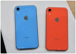 Vì sao iPhone X vẫn là smartphone hấp dẫn hơn iPhone XR dù đã ra mắt 1 năm?