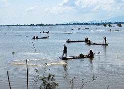 An Giang: Mùa nước nổi nhộn nhịp bắt cá tôm, hái bông điên điển