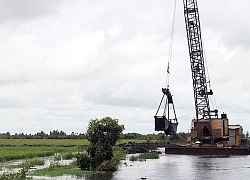 Các tỉnh đồng bằng sông Cửu Long chủ động ứng phó lũ, bảo vệ lúa