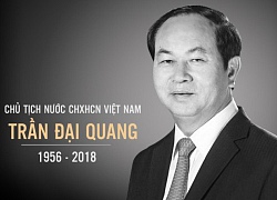 "Chủ tịch nước mắc bệnh do virus gây hại cho máu"