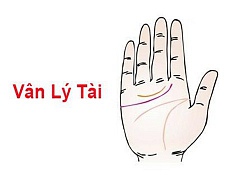 Đây là tướng tay của những người cả đời sống trong nhung lụa, giàu sang phú quý khiến thiên hạ ghen tị