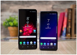 Galaxy S10 lộ mã hiệu: Có 3 phiên bản gồm 2 mẫu màn hình cong tràn và 1 mẫu màn hình phẳng