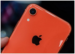 Hóa ra đây là cách mà iPhone Xr sử dụng để chụp ảnh xóa phông