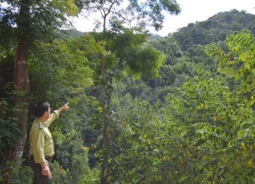 Hơn 10 ngày bị bắn, hàng chục viên đạn vẫn nằm trong người kiểm lâm