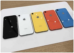 iPhone Xr lên kệ muộn hơn iPhone Xs, nguyên nhân thực sự là gì?