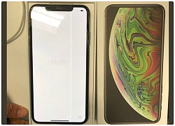 iPhone XS Max vừa mở bán đã bị lỗi màn hình kẻ sọc