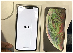 iPhone XS Max vừa mở hộp đã bị lỗi sọc màn hình