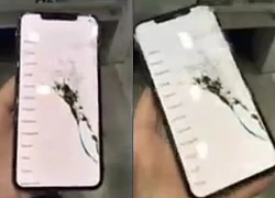 Khoe iPhone Xs Max đầu tiên trên thế giới, khổ chủ khiến dân tình xót xa với màn hình vỡ nát bét