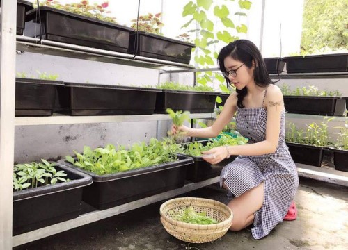 Khu vườn trên sân thượng nhỏ nhắn nhưng xanh mát mắt của bà mẹ hai con xinh đẹp Elly Trần