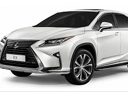 Lexus RX300 bản đặc biệt mới trình làng Malaysia, giá từ 2,44 tỷ VNĐ