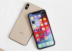 Lộ mức giá chiếc iPhone XS Max đầu tiên về Việt Nam