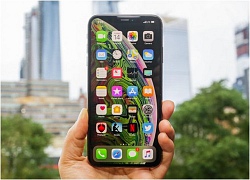 Lý do thực sự khiến giá những chiếc iPhone xách tay về nước sớm luôn cao khó tin