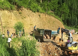 Tiêu hủy lợn vận chuyển trái phép qua biên giới Hà Giang