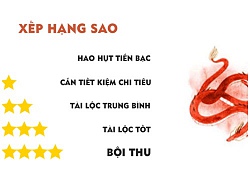 Tử vi hôm nay (21/9) về tài chính của 12 con giáp: Tuổi Thìn tiền đầy túi