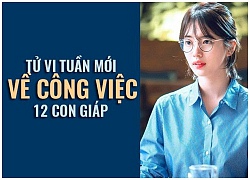 Tử vi tuần mới (24/9 &#8211; 30/9) về công việc của 12 con giáp