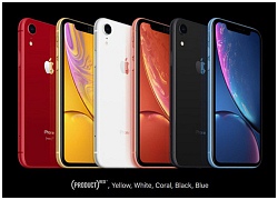 Wall Street Journal: iPhone XR lên kệ muộn vì Apple sợ doanh số của iPhone XS/XS Max bị ảnh hưởng