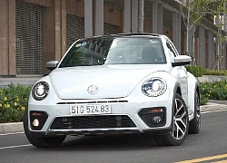 Xem huyền thoại "Con Bọ" và Volkswagen Beetle Dune đang có tại Việt Nam