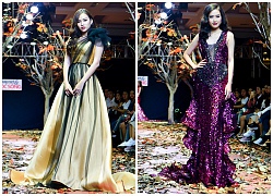 Á khôi Miss Photo Thạch Thảo thần thái cuốn hút catwalk trên lá vàng thu