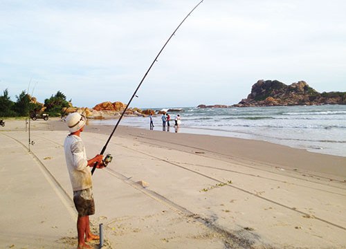 Bình Thuận: Ngày cá áp bờ, ăn dày, nơi nào cũng chật người câu