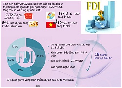 Đầu tư trực tiếp nước ngoài 9 tháng năm 2018