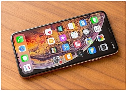 DisplayMate đánh giá iPhone XS Max là smartphone có màn hình đẹp nhất