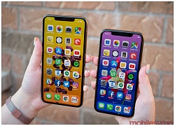 DisplayMate: iPhone XS Max là smartphone có màn hình tốt nhất từ trước đến nay