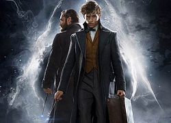 'Fantastic Beasts 2': Groot từ dãy ngân hà bay thẳng vào vũ trụ Harry Potter?!