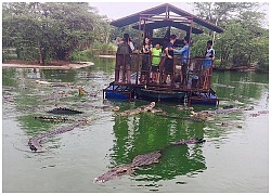 Ghé trang trại ở Thái Lan, thử tài câu cá sấu vừa dữ vừa đói giữa hồ