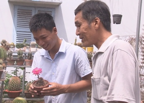 Hoa mắt vườn xương rồng 10.000 cây độc lạ, trót vào là... mất tiền