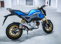 Honda MSX 125 kiểng nhẹ của biker trẻ Vũng Tàu