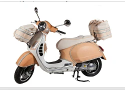 Ngắm xe ga Vespa bản bọc da đẹp "nao lòng người"