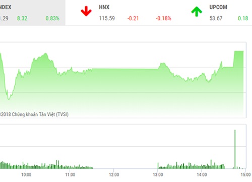 Phiên chiều 24/9: Dòng bank đuối sức, VN-Index vẫn thẳng tiến qua ngưỡng 1.010 điểm