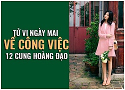 Tử vi ngày mai (27/9) về công việc của 12 cung hoàng đạo: Song Tử bất cẩn