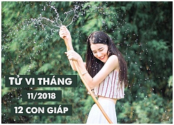 Tử vi tháng 11/2018 chi tiết của 12 con giáp: Tuổi Thìn trắc trở, tuổi Mùi thu nhập tăng