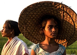 'Village Rockstars' đại diện Ấn Độ tranh giải Oscar 2019