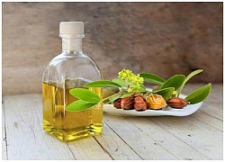 10 lý do nên thêm dầu jojoba vào thói quen chăm sóc da