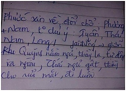 1001 lời phê sổ đầu bài siêu hài hước của giáo viên vui tính dành cho học sinh 'siêu quậy'