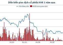 An Dương Thảo Điền: Sẽ chuyển nhượng một phần vốn góp tại Cơ khí Ngân Hàng