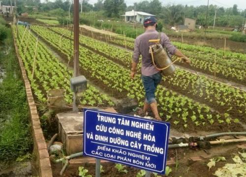 Hết thời hạn công nhận lưu hành cho phân bón, nhiều đơn vị vẫn lúng túng