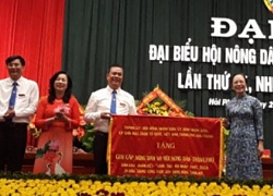 Hội ND Hải Phòng: Năng động giúp dân xây dựng nông thôn mới