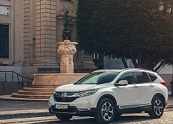 Honda Cr-V Hybrid 2019 Chính Thức Lộ Diện