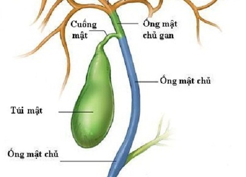 Người đàn ông ghép dương vật sinh học hôn mê do viêm túi mật