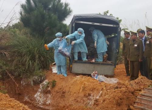 Sản phẩm không đảm bảo an toàn: Chủ cơ sở được chọn cách thu hồi