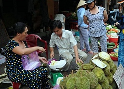 Sầu riêng tăng "sốc" gần 100.000 đ/kg, nông dân ám ảnh nạn bảo kê