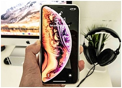 Tải về hình nền Live Photo độc quyền trên iPhone Xs và iPhone Xs Max