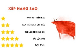 Tử vi hôm nay (28/9) về tài chính 12 con giáp: Tuổi Sửu làm nhiều chưa thấy tiền đâu