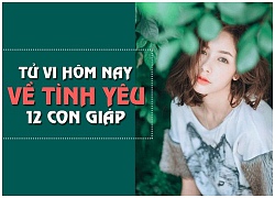 Tử vi hôm nay (28/9) về tình yêu của 12 con giáp: Tuổi Dậu buồn vì tình